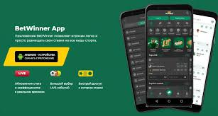 BetWinner Your Ultimate Online Gambling Platform -811661339
